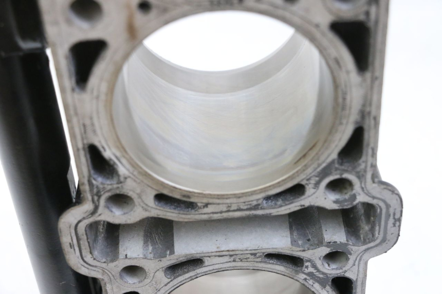 photo de CILINDER ZUIGER MV AGUSTA BRUTALE R WALLY 910 (2008 - 2008) - Profielaanzicht