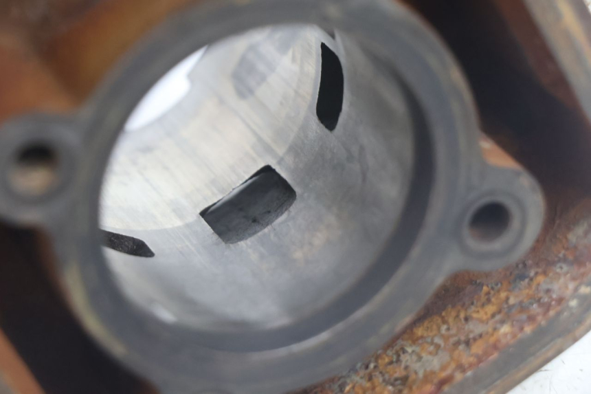 photo de CILINDER ZUIGER PEUGEOT LUDIX BLASTER 50 (2006 - 2014) - Focus op structuur