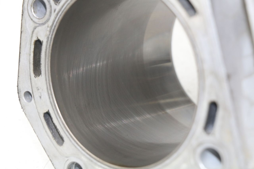 photo de CILINDER ZUIGER PEUGEOT SATELIS 500 (2007 - 2013) - Technische close-up