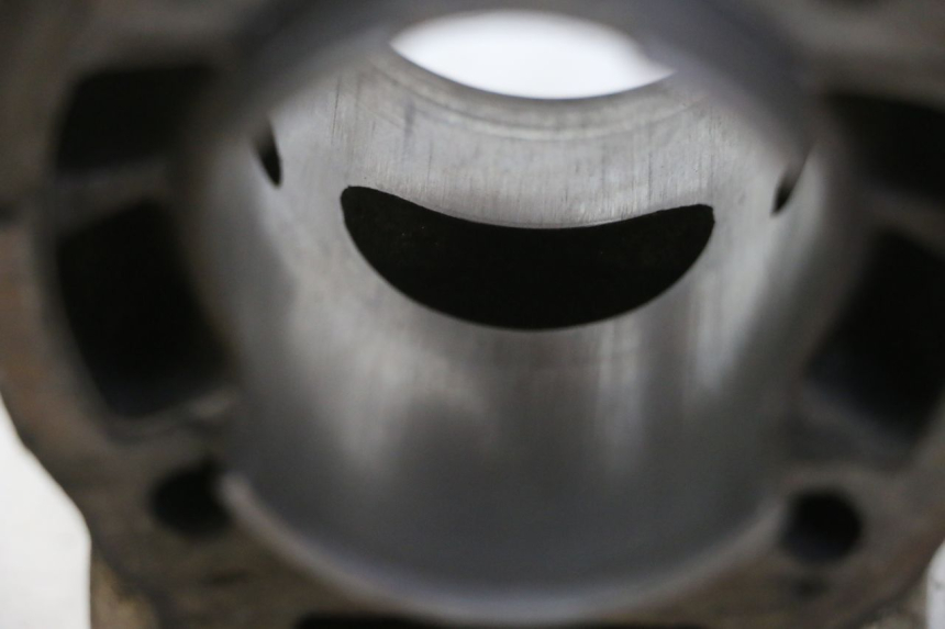 photo de CILINDER ZUIGER DERBI SENDA SM DRD 50 (2008 - 2013) - Technische close-up