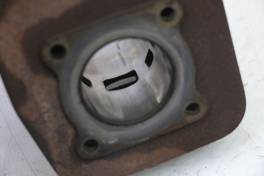 photo de CILINDER ZUIGER PEUGEOT SPEEDFIGHT 3 AIR 50 (2009 - 2015) - Kenmerkende details