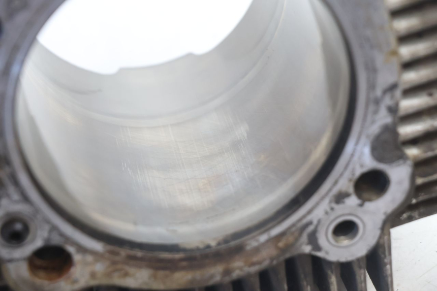 photo de CYLINDER PISTOON DUCATI SS IE DS CARENEE 1000 (2002 - 2006) - Focus op structuur