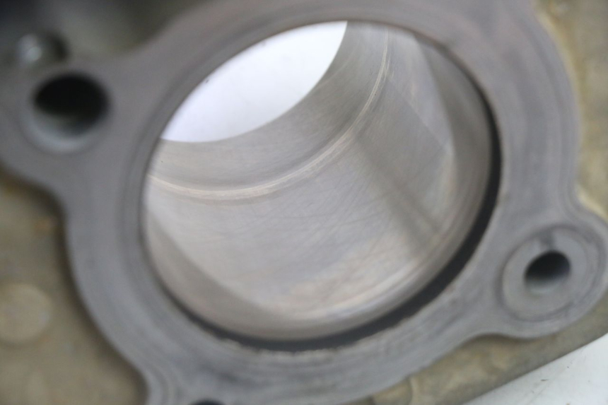 photo de CILINDER ZUIGER YAMAHA YFM R RAPTOR 250 (2008 - 2014) - Focus op structuur