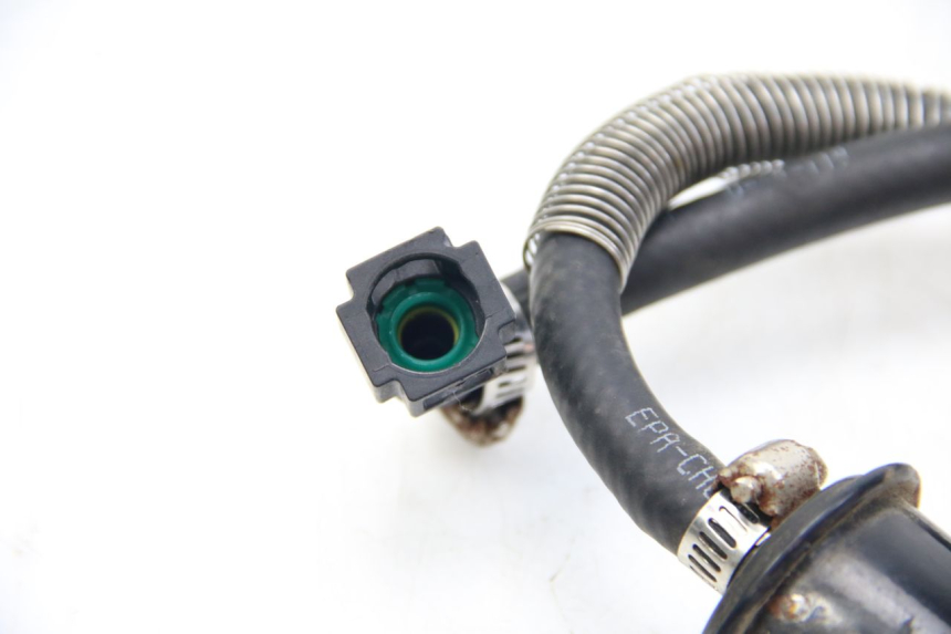 photo de INJECTORSLAANG EUROCKA GTR 50 (2018 - 2021) - Technische close-up