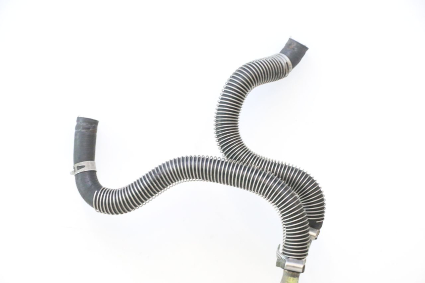photo de RADIATORSLANG HONDA SH 125 (2001 - 2003) - Detail van het onderdeel