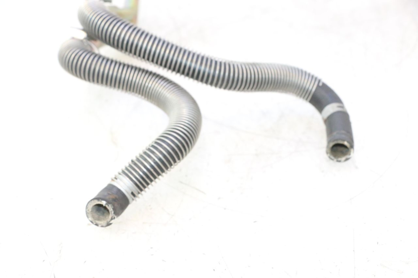 photo de RADIATORSLANG HONDA SH 125 (2001 - 2003) - Gecontroleerd onderdeel