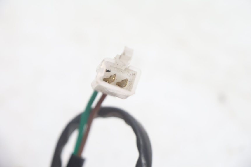 photo de Kentekenverlichting JM MOTORS EVOLIS 4T 50 (2018 - 2022) - Technische close-up