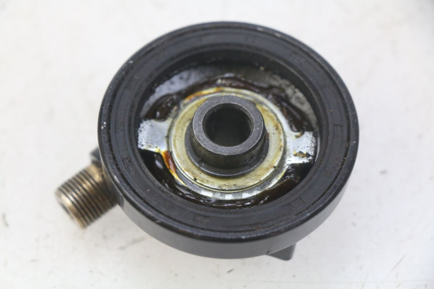 photo de TELLERAANDRIJVER TELLER JM MOTORS EVOLIS 4T 50 (2018 - 2022) - Zoom op gebruiksstaat