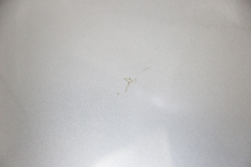 photo de BOVENSTE VOORZIJDE EFUN PUSA 1 - Staat van het oppervlak