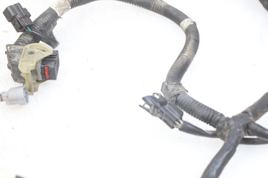 photo de KABELBOOM KYMCO AGILITY 16+ 4T 50 (2018 - 2023) - Overzicht