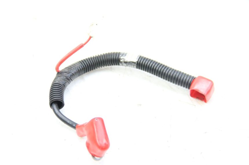 photo de BATTERIJKABELBOOM SYM ORBIT III 3 4T 50 (2021 - 2025) - Hoofdaanzicht