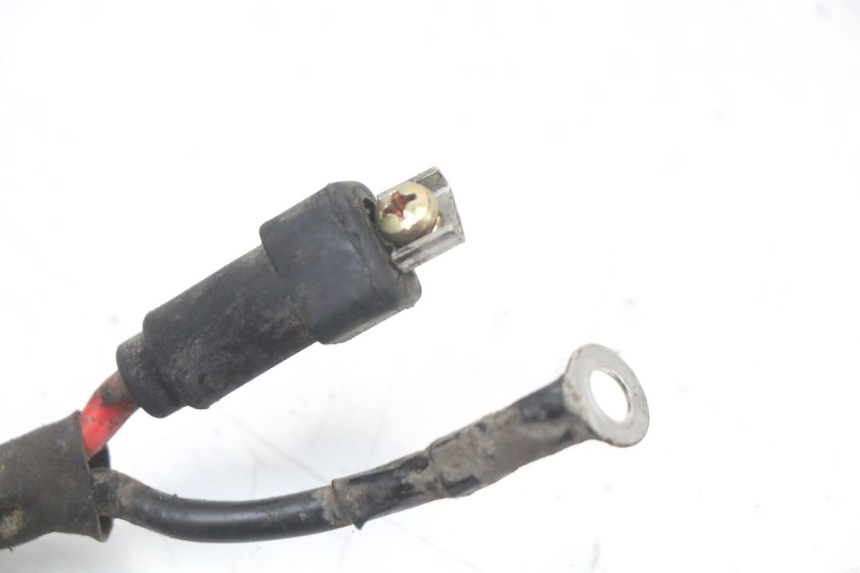 photo de BATTERIJKABELBOOM PIAGGIO ZIP 2T 50 (2009 - 2019) - Detail van het onderdeel