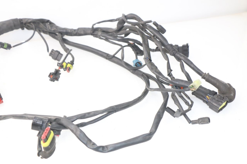 photo de KABELBOOM MV AGUSTA BRUTALE R WALLY 910 (2008 - 2008) - Focus op structuur