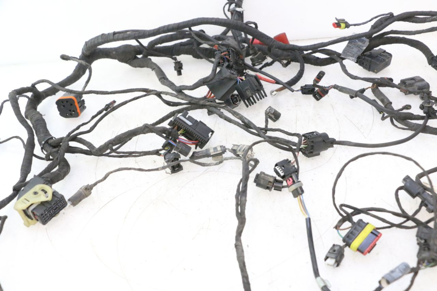 photo de KABELBOOM BMW C SPORT 650 (2015 - 2021) - Focus op structuur