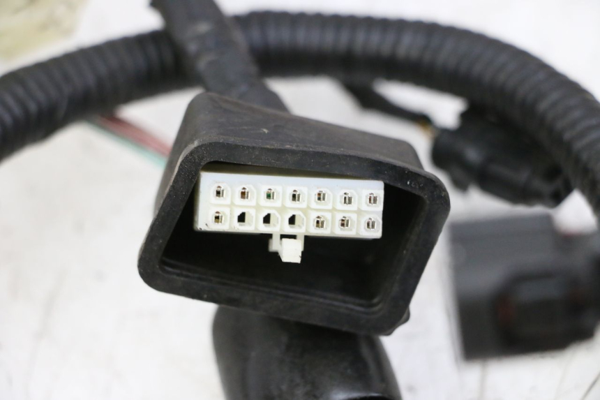 photo de KABELBOOM ORCAL CAVARO 4T 50 (2019 - 2023) - Zoom op gebruiksstaat