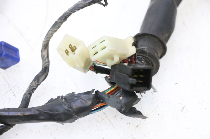 photo de KABELBOOM HONDA CB F HORNET 600 (2005 - 2006) - Kenmerkende details