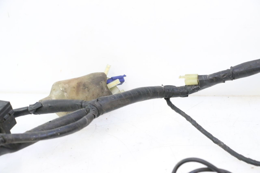 photo de KABELBOOM HONDA CB F HORNET 600 (2005 - 2006) - Gecontroleerd onderdeel
