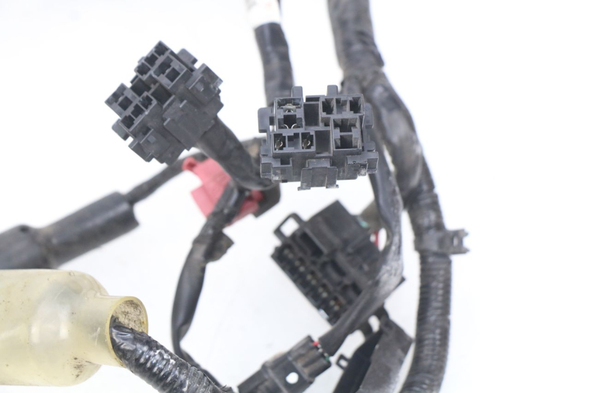 photo de KABELBOOM HONDA CBRF CBR-F PC41 600 (2011 - 2013) - Visuele inspectie