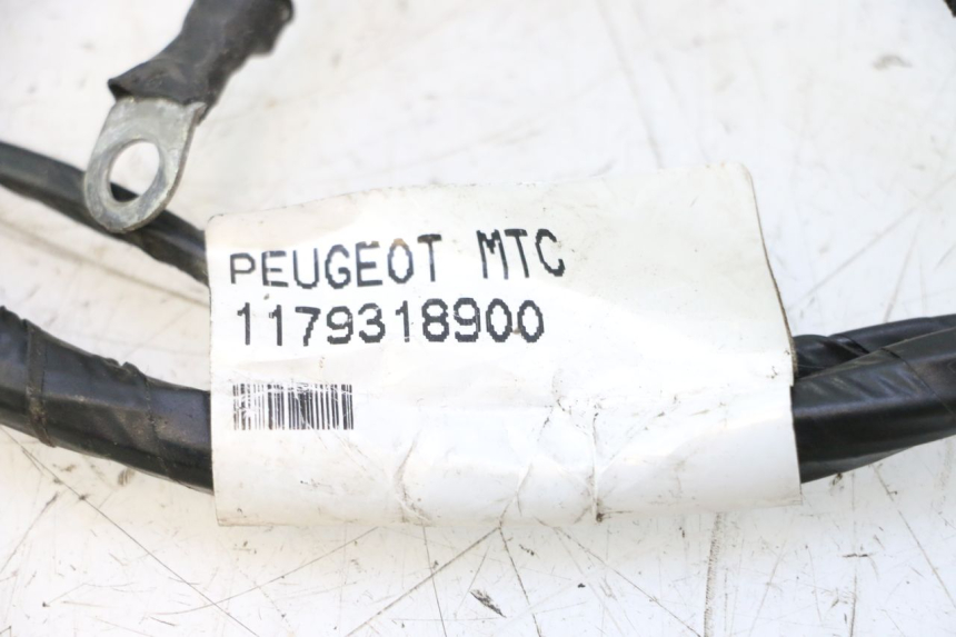 photo de KABELBOOM PEUGEOT CITYSTAR 2T 50 (2018 - 2021) - Andere kijkhoek