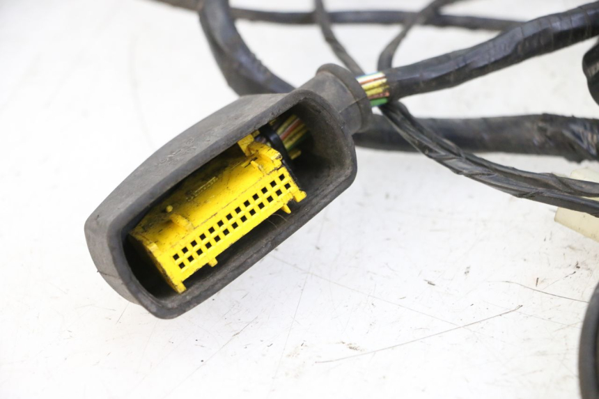 photo de KABELBOOM PEUGEOT CITYSTAR 50 (2013 - 2017) - Overzicht