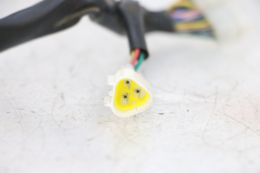 photo de TELLERKABELBOOM MAG POWER BOMBERS 4T 50 (2016 - 2026) - Andere kijkhoek