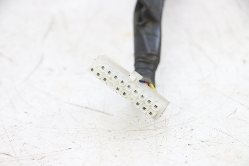 photo de TELLERKABELBOOM MAG POWER BOMBERS 4T 50 (2016 - 2026) - Overzicht