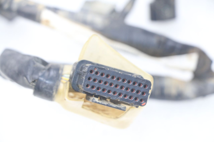 photo de KABELBOOM HONDA CRF 250 (2013 - 2016) - Technische close-up