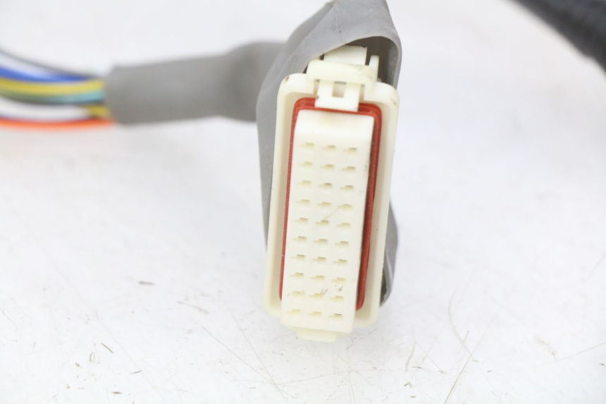 photo de KABELBOOM EFUN E2GO 1 (2017 - 2021) - Technische close-up