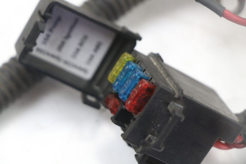 photo de KABELBOOM LONGJIA EASY MAX 125 (2020 - 2024) - Kenmerkende details