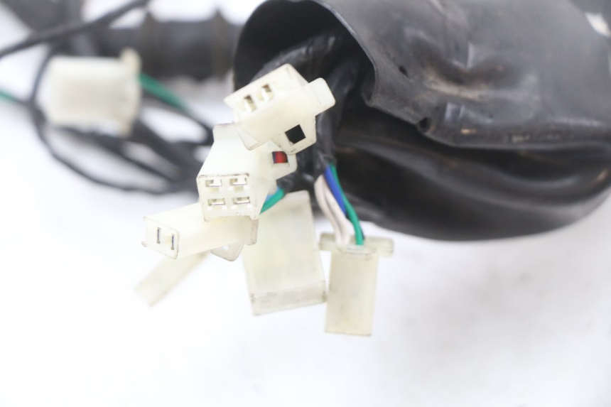 photo de KABELBOOM LONGJIA EASY MAX 125 (2020 - 2024) - Andere kijkhoek