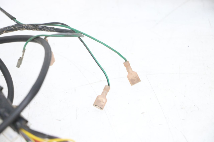 photo de KABELBOOM PEUGEOT ELYSEO 125 (1999 - 2004) - Detailaanzicht