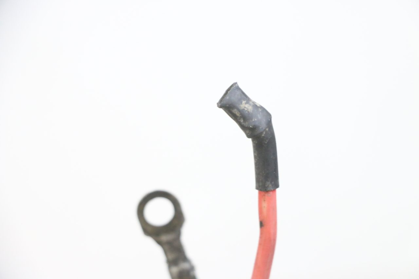 photo de KABELBOOM PEUGEOT ELYSEO 125 (1999 - 2004) - Andere kijkhoek