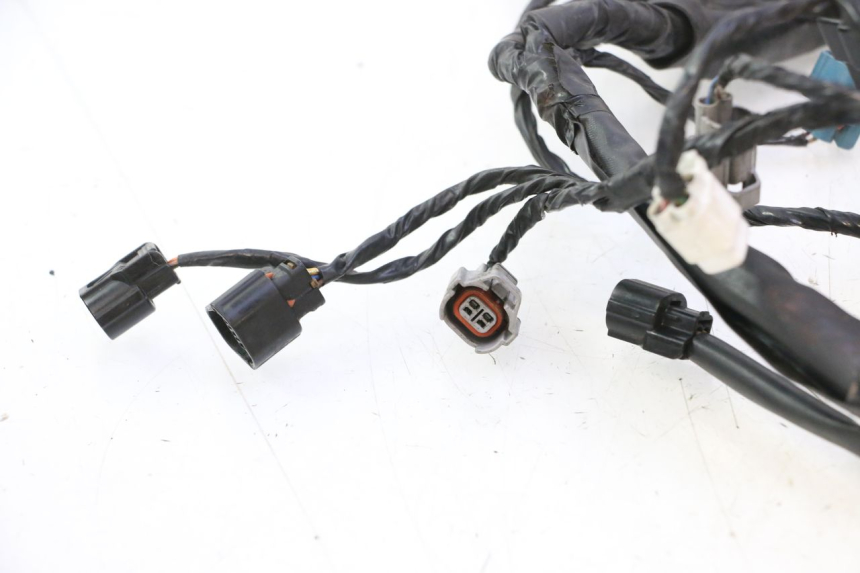 photo de KABELBOOM KAWASAKI ER-6 ER6 N 650 (2005 - 2009) - Overzicht