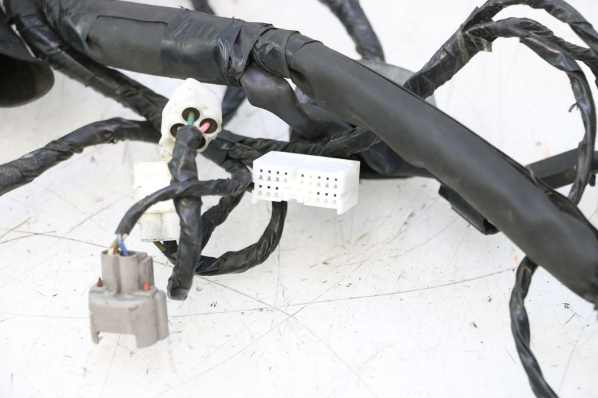 photo de KABELBOOM KAWASAKI ER-6 ER6 N 650 (2005 - 2009) - Focus op structuur