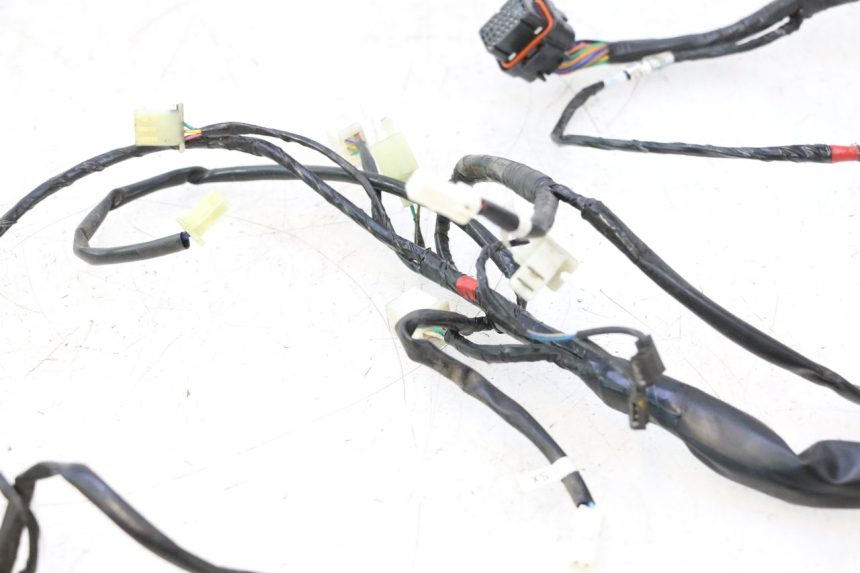 photo de KABELBOOM ASKOLL ESPRO 1 - Zoom op componenten