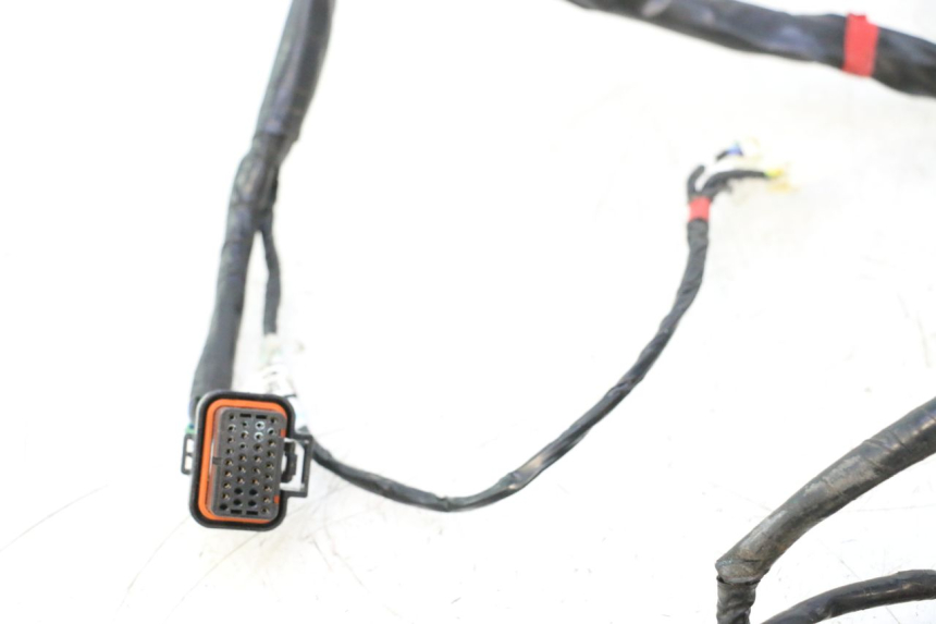 photo de KABELBOOM ASKOLL ESPRO 1 - Detailaanzicht