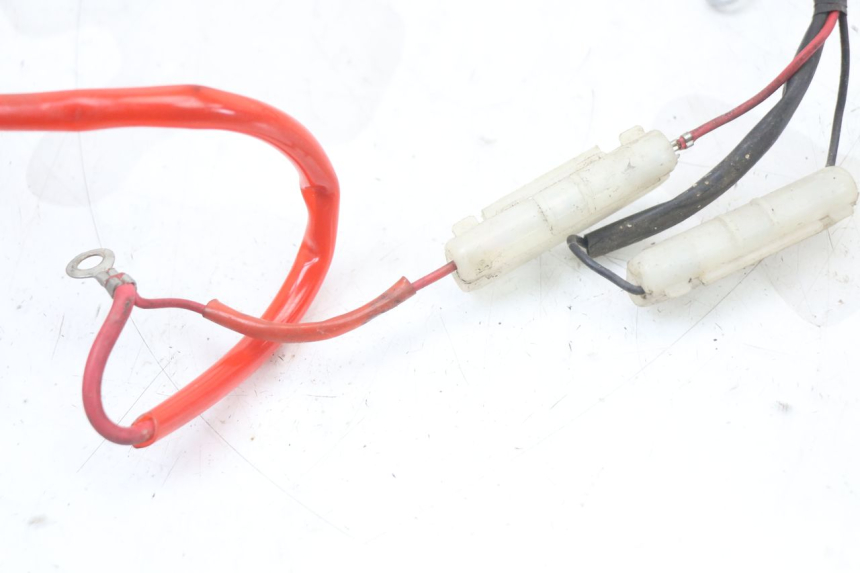 photo de KABELBOOM EUROCKA RETRO 50 (2007 - 2014) - Overzicht