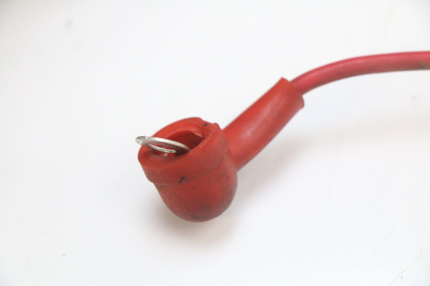 photo de KABELBOOM EUROCKA RETRO 50 (2007 - 2014) - Bevestigingspunten