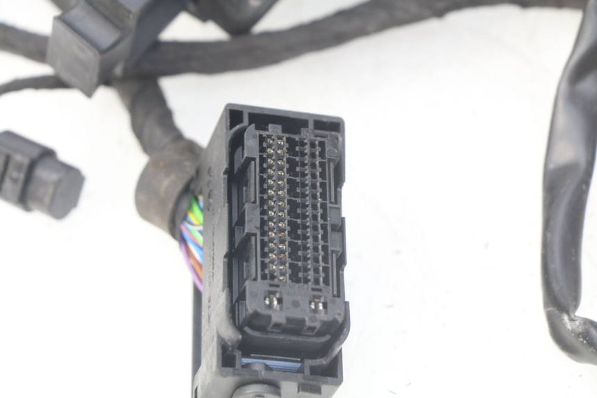 photo de KABELBOOM BMW F GS K81 850 (2018 - 2023) - Overzicht