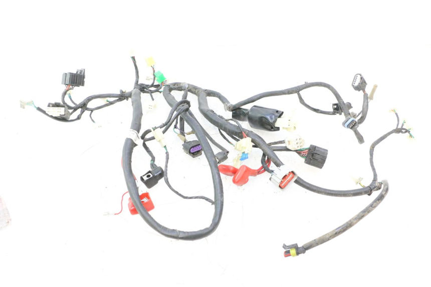 photo de KABELBOOM JM MOTORS F45i 4T 50 (2020 - 2023) - Hoofdaanzicht