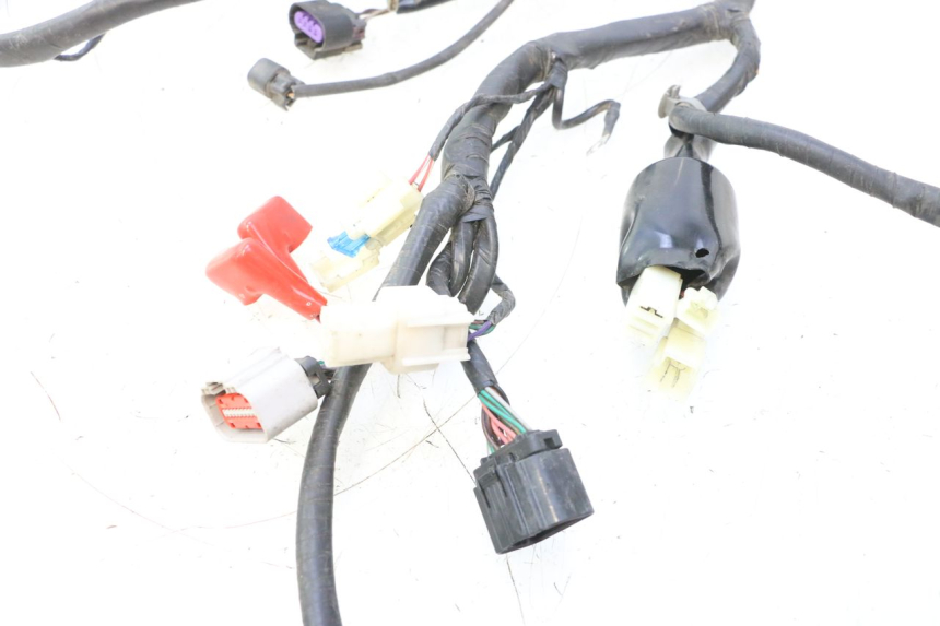 photo de KABELBOOM JM MOTORS F45i 4T 50 (2020 - 2023) - Technische close-up