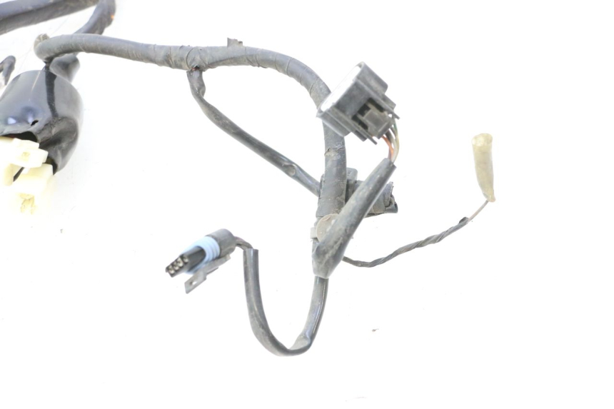 photo de KABELBOOM JM MOTORS F45i 4T 50 (2020 - 2023) - Overzicht
