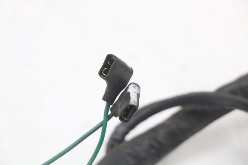 photo de KABELBOOM HONDA FES PANTHEON 2T 125 (1998 - 2002) - Kenmerkende details