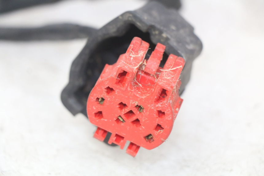 photo de KABELBOOM HONDA FES PANTHEON 125 (2003 - 2007) - Detailaanzicht