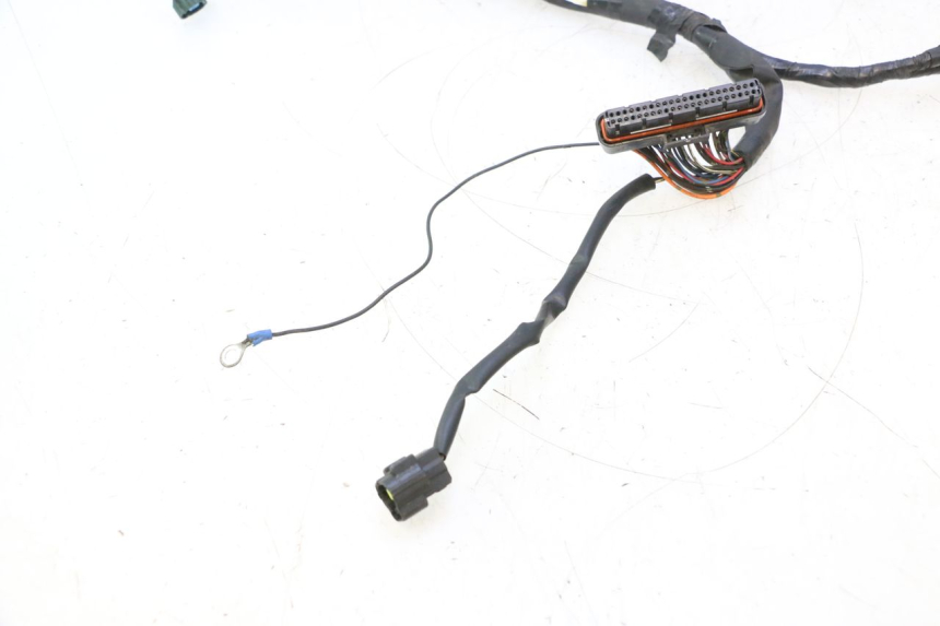 photo de KABELBOOM YAMAHA FJR 1300 (2001 - 2005) - Technische close-up