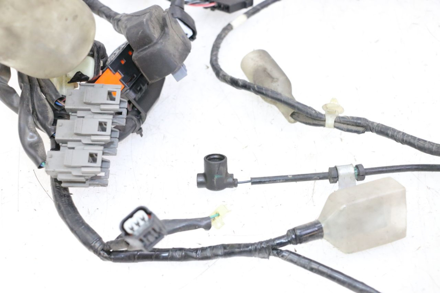 photo de KABELBOOM HONDA FORZA ABS 300 (2013 - 2017) - Gecontroleerd onderdeel