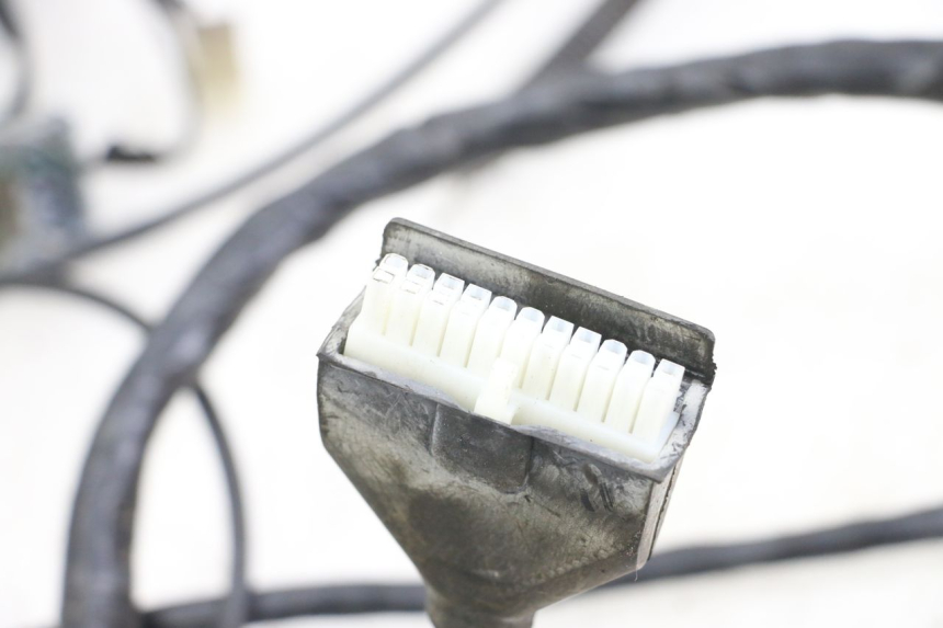 photo de KABELBOOM PEUGEOT GEOPOLIS RS 125 (2007 - 2009) - Zoom op gebruiksstaat