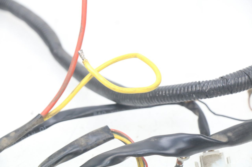 photo de KABELBOOM EUROCKA GREEN 1 - Andere kijkhoek