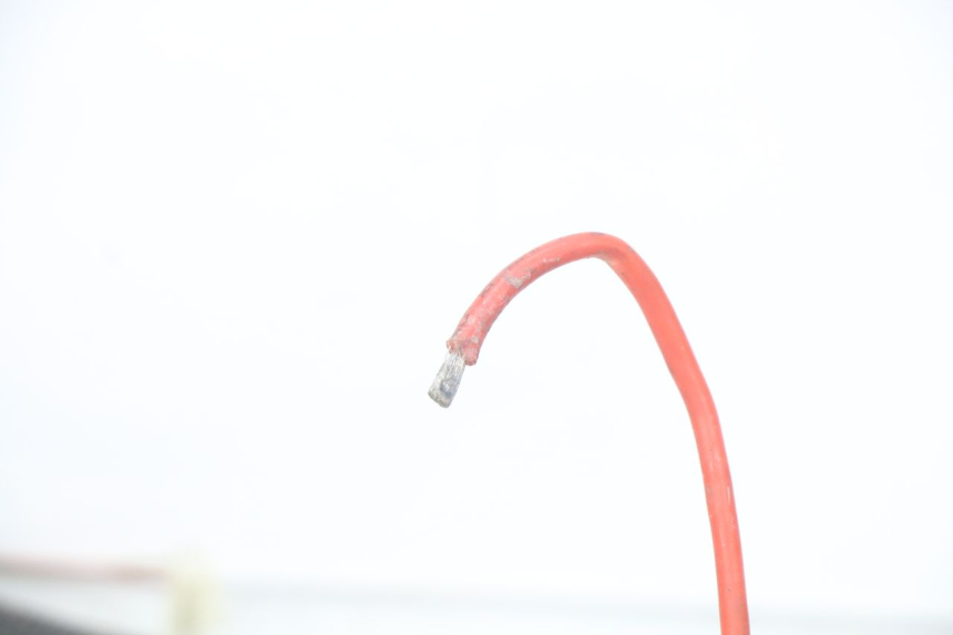 photo de KABELBOOM EUROCKA GREEN 1 - Technische close-up