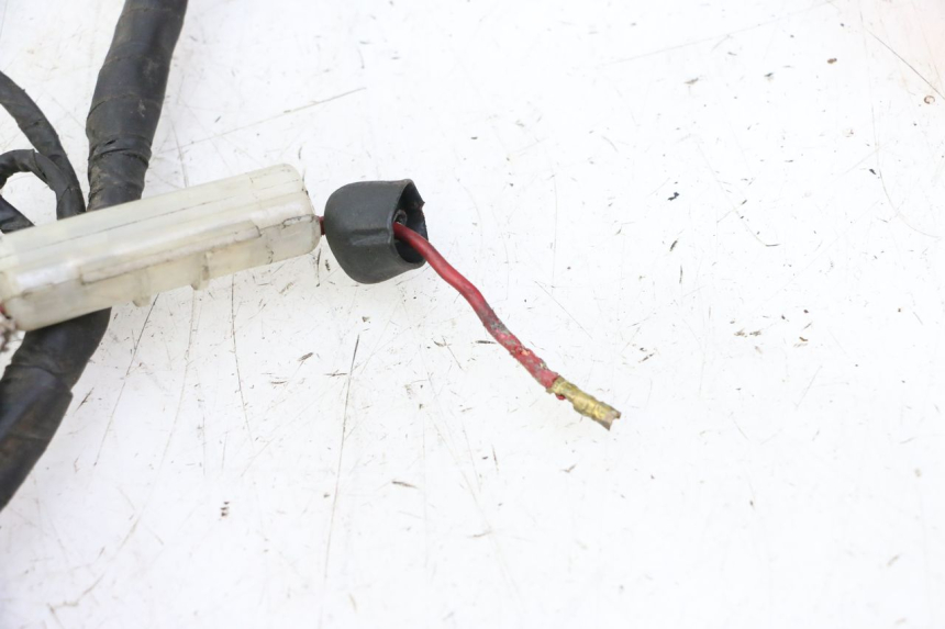 photo de KABELBOOM DAELIM HISTORY 125 (2001 - 2002) - Andere kijkhoek